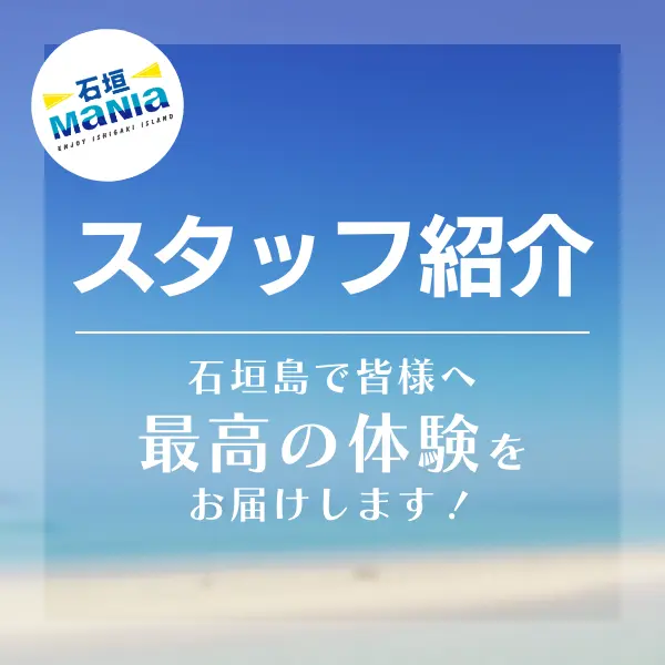 スタッフ紹介
