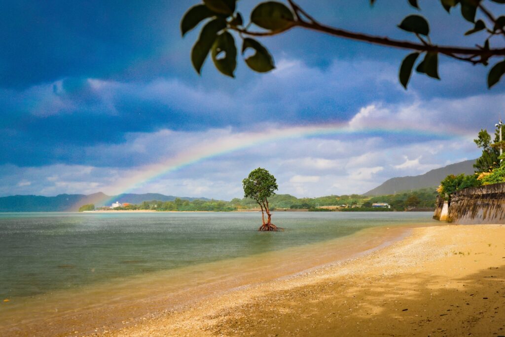 石垣島・名蔵湾の穏やかな海と美しい景色