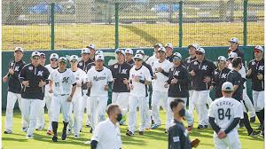 石垣島の2月は気温が安定しており千葉ロッテマリーンズのプロ野球キャンプを間近で見学できる様子