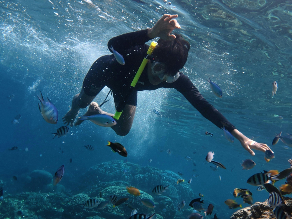 石垣島の海でレンタルしたシュノーケリング用品を装着する観光客