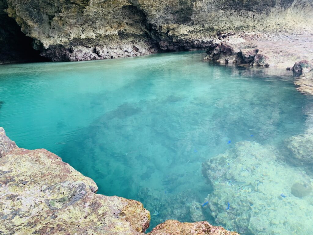 石垣島青の洞窟周辺の海中。浅瀬でも見られるサンゴと色とりどりの熱帯魚
