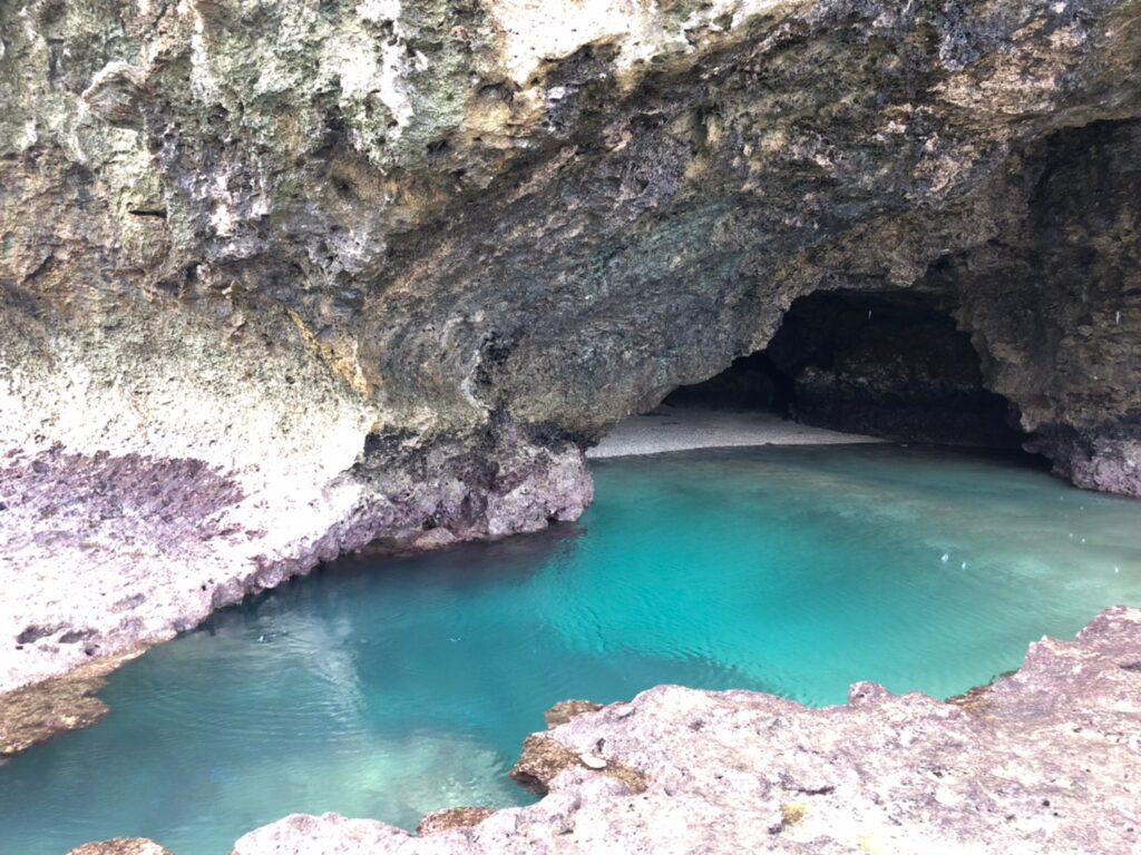 石垣島 青の洞窟周辺では熱帯魚が見られる