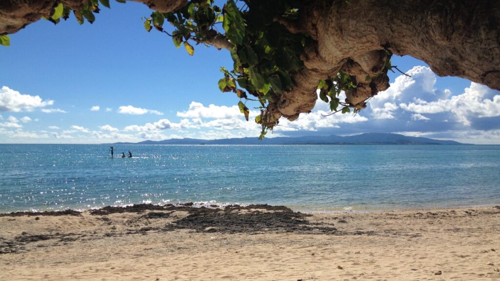 野鳥と自然に出会える石垣島の海
