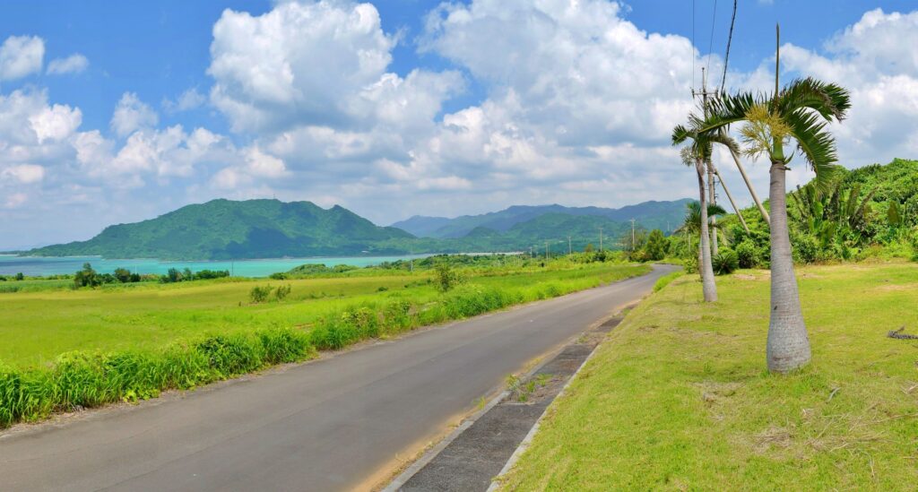 石垣島でドライブ中に野鳥に出会える