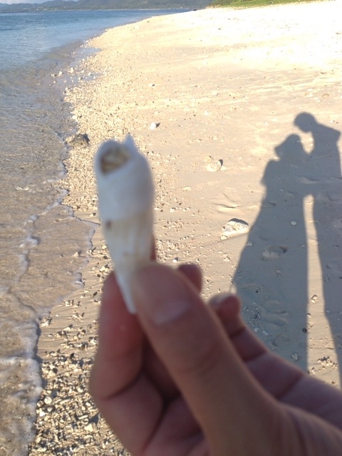 石垣島の2月、穏やかな海と空が広がるバレンタインシーズンの景色