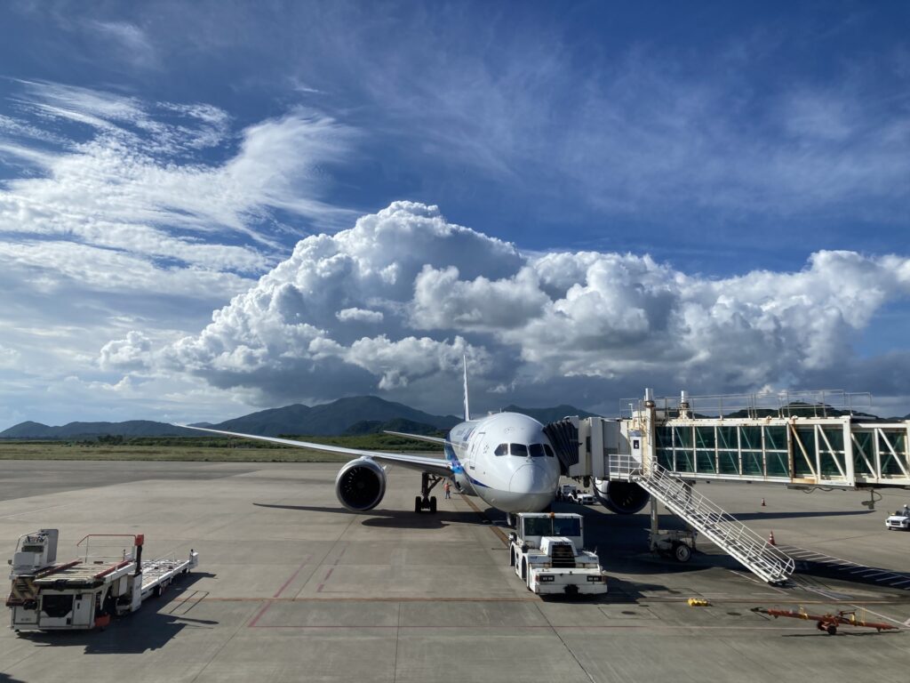 石垣空港の滑走路と到着した飛行機