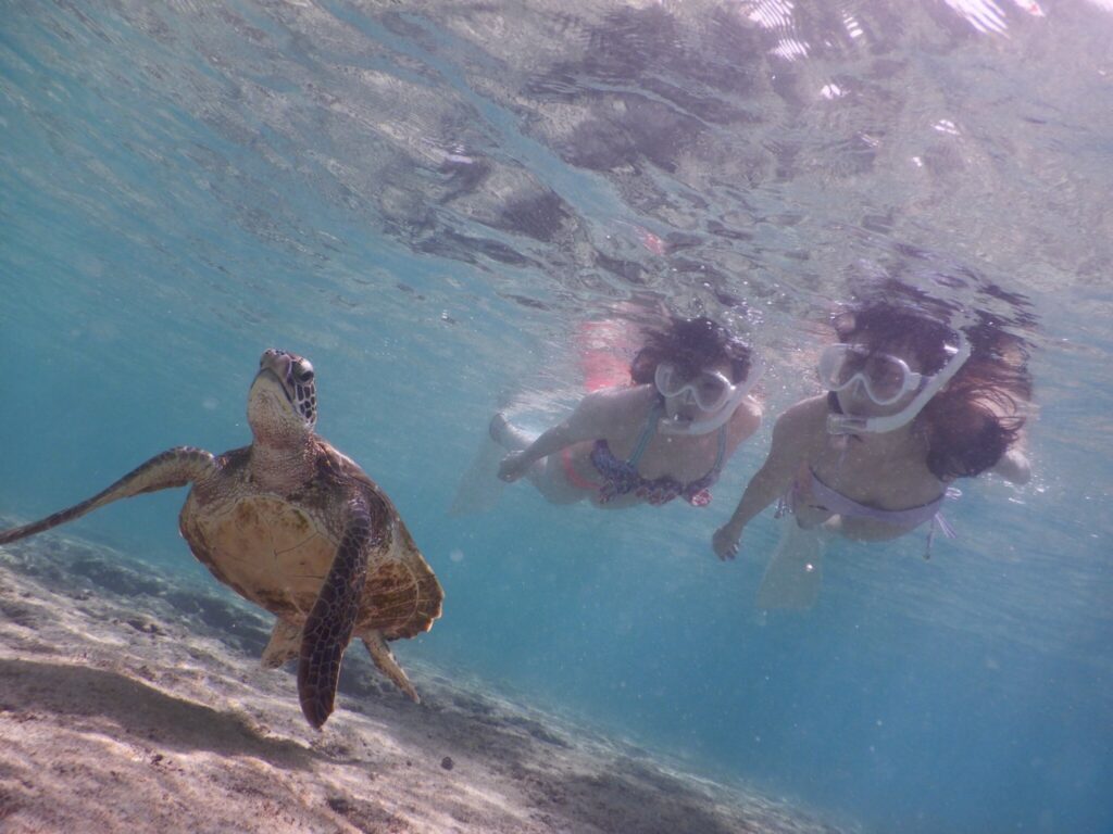 石垣島 春の海の服装 シュノーケリング