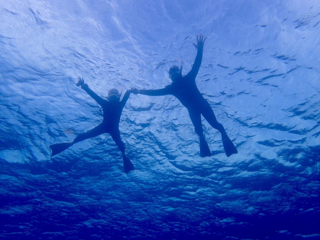 夏の石垣島で海に入るダイバーたち