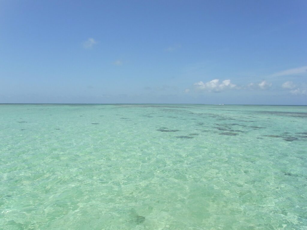 石西礁湖でウミガメに会えるシュノーケリングを楽しむ石垣島の海