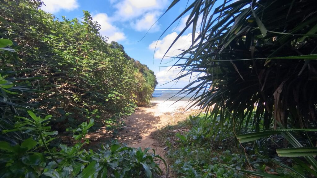 青の洞窟シュノーケリングツアーはビーチエントリーなので初心者でも安心