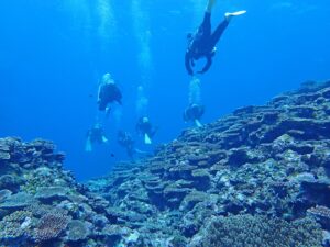 広がる石西礁湖のサンゴ礁