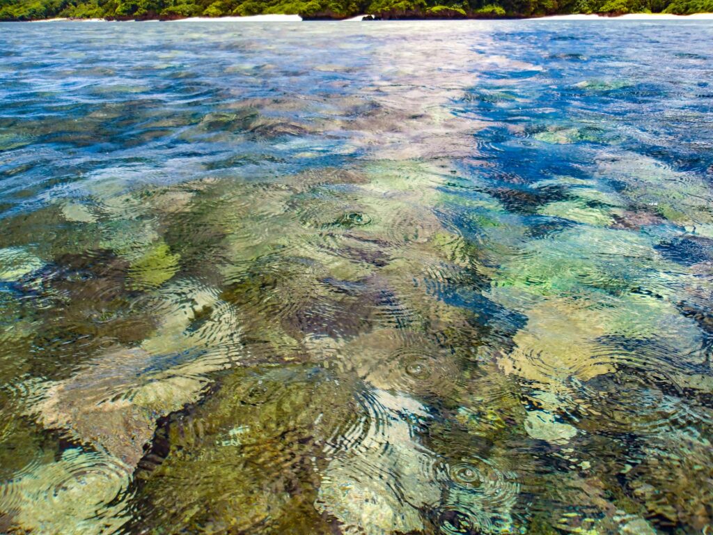 夏の青空の下に広がる穏やかな石西礁湖