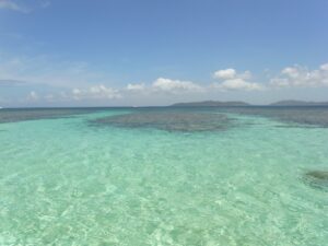石垣島周辺に広がる石西礁湖