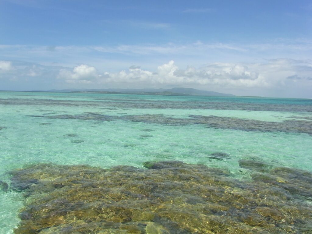石垣島に広がる石西礁湖のサンゴ礁