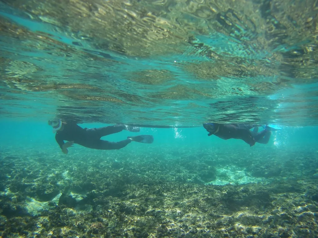石西礁湖ツアーでサンゴと熱帯魚を観察する参加者